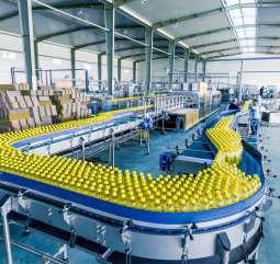 Food Industry