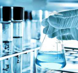 Chemical Industry