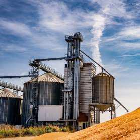 Rice Industry